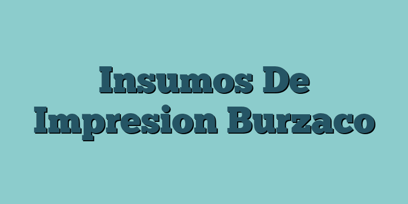 Insumos De Impresion Burzaco