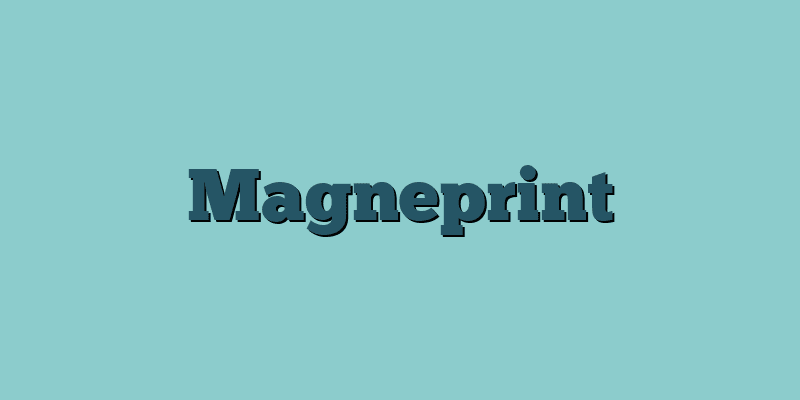 Magneprint