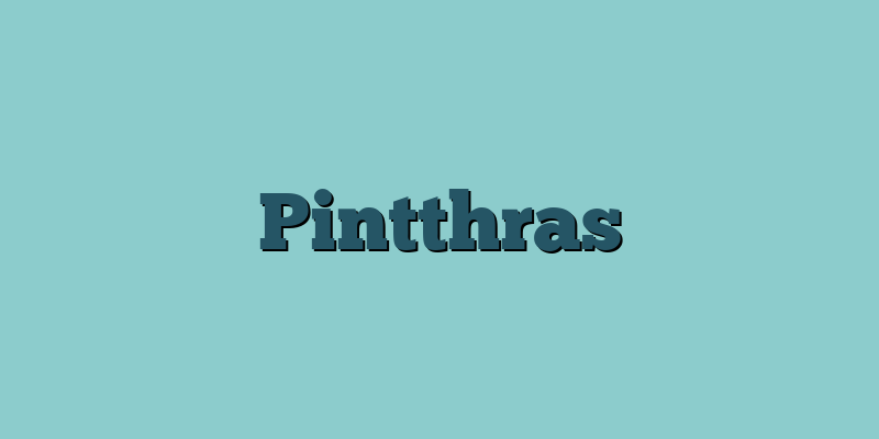 Pintthras
