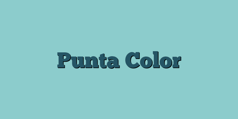 Punta Color