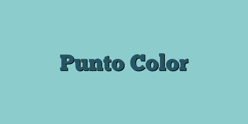Punto Color