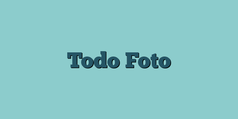 Todo Foto