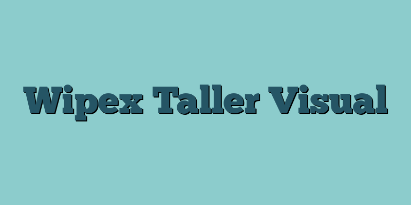 Wipex Taller Visual
