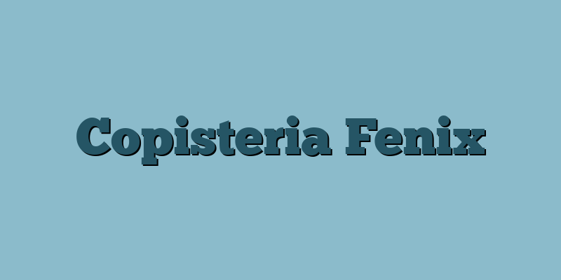 Copisteria Fenix