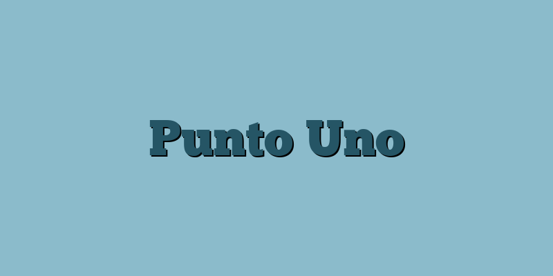Punto Uno