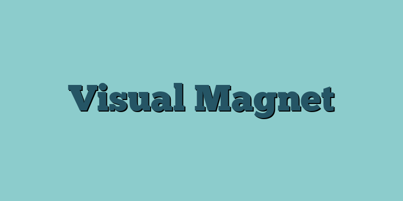 Visual Magnet